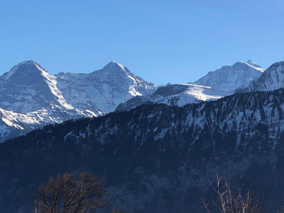 Wohnung Mit See Und Bergsicht Im Vier Sterne Hotel Beatenberg Exteriör bild