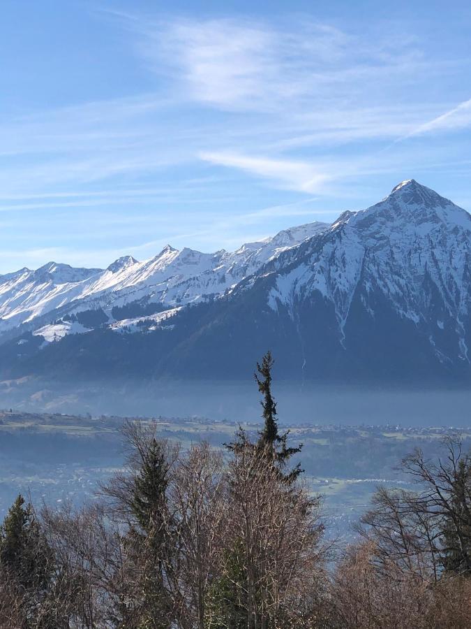 Wohnung Mit See Und Bergsicht Im Vier Sterne Hotel Beatenberg Exteriör bild