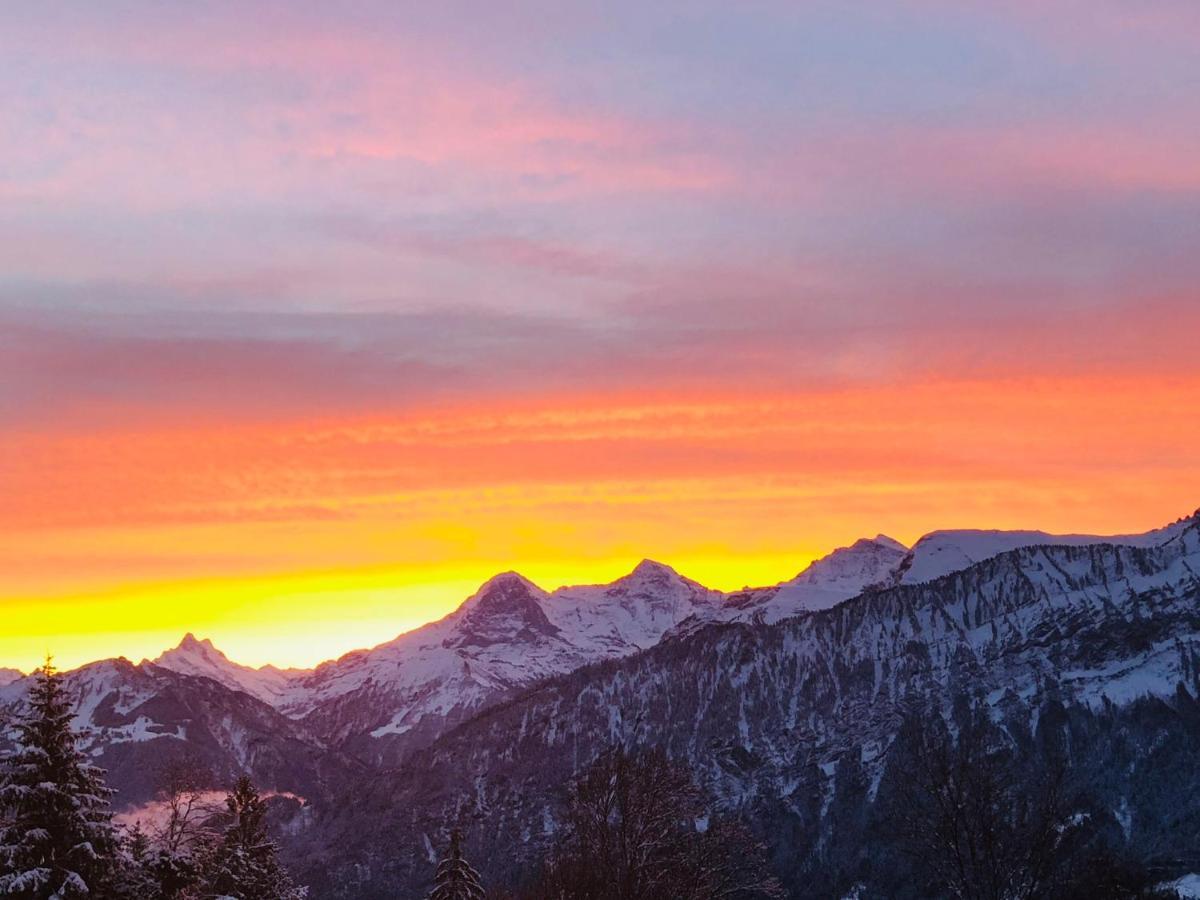 Wohnung Mit See Und Bergsicht Im Vier Sterne Hotel Beatenberg Exteriör bild