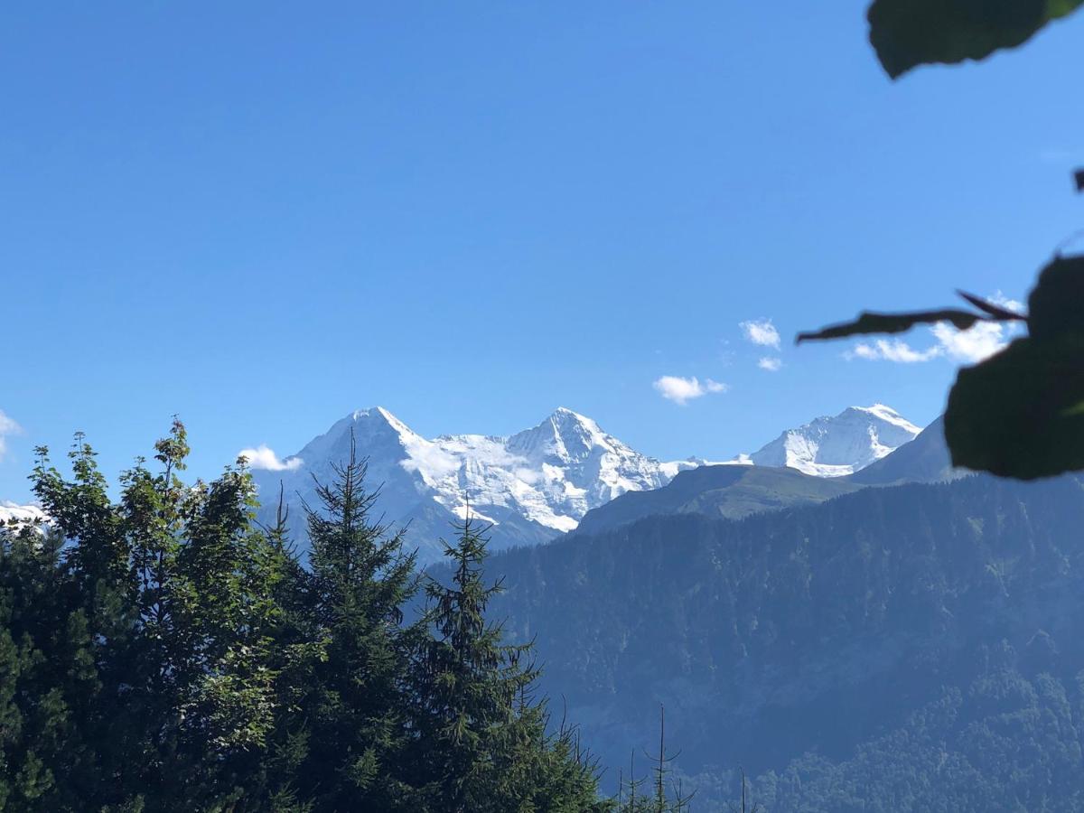 Wohnung Mit See Und Bergsicht Im Vier Sterne Hotel Beatenberg Exteriör bild