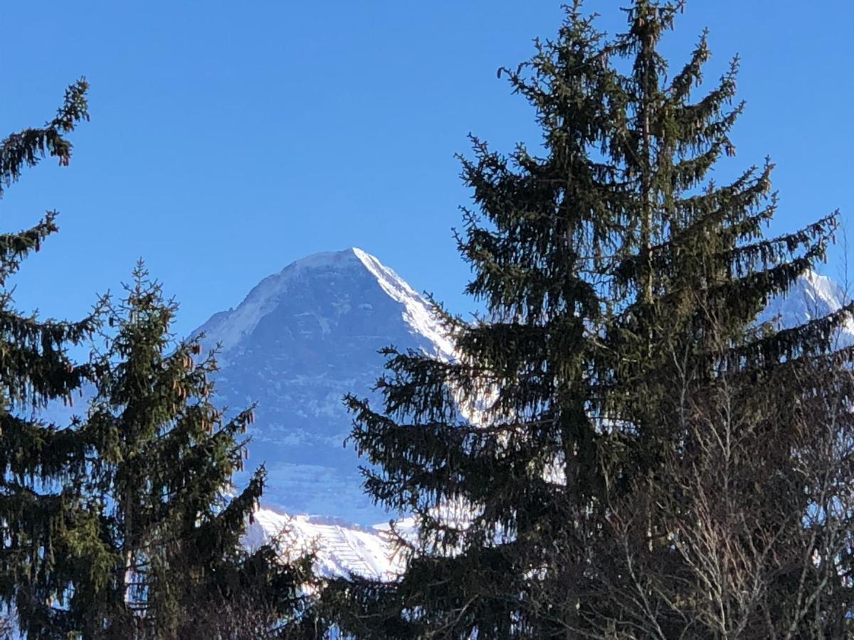 Wohnung Mit See Und Bergsicht Im Vier Sterne Hotel Beatenberg Exteriör bild