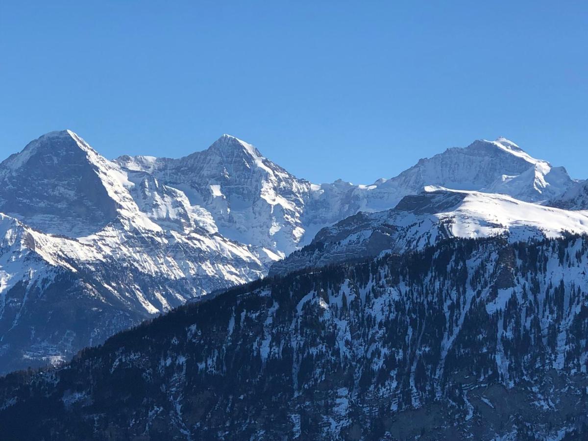 Wohnung Mit See Und Bergsicht Im Vier Sterne Hotel Beatenberg Exteriör bild