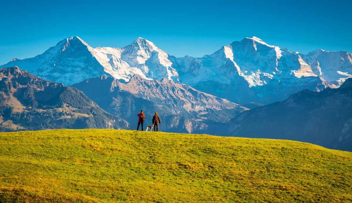 Wohnung Mit See Und Bergsicht Im Vier Sterne Hotel Beatenberg Exteriör bild