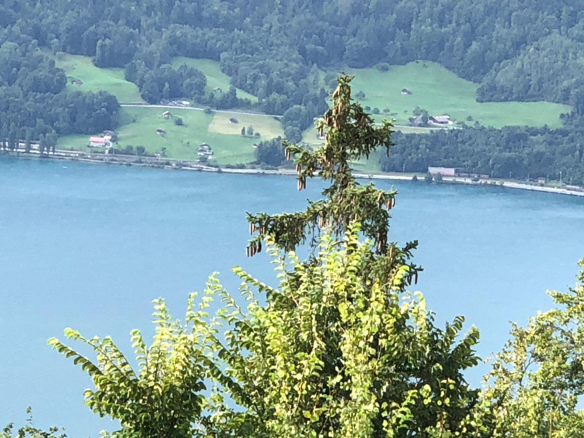 Wohnung Mit See Und Bergsicht Im Vier Sterne Hotel Beatenberg Exteriör bild